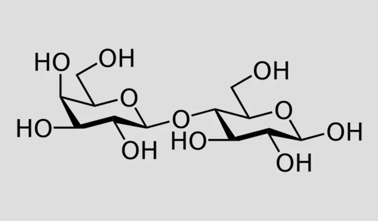 Give Me Some Sugar! – Article All About Carbohydrates