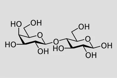 Give Me Some Sugar! – Article All About Carbohydrates